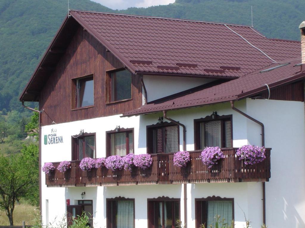 Serena Guesthouse Bran Бран Екстериор снимка